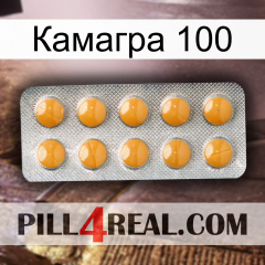 Камагра 100 levitra1